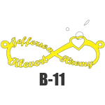 Modelo B-11