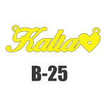 Modelo B-25